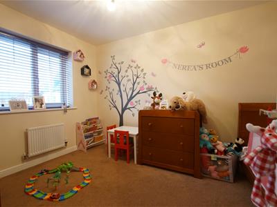 Picture 7